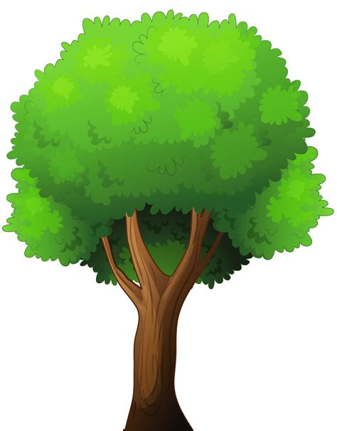 clipart images of trees|transparent tree clip art.